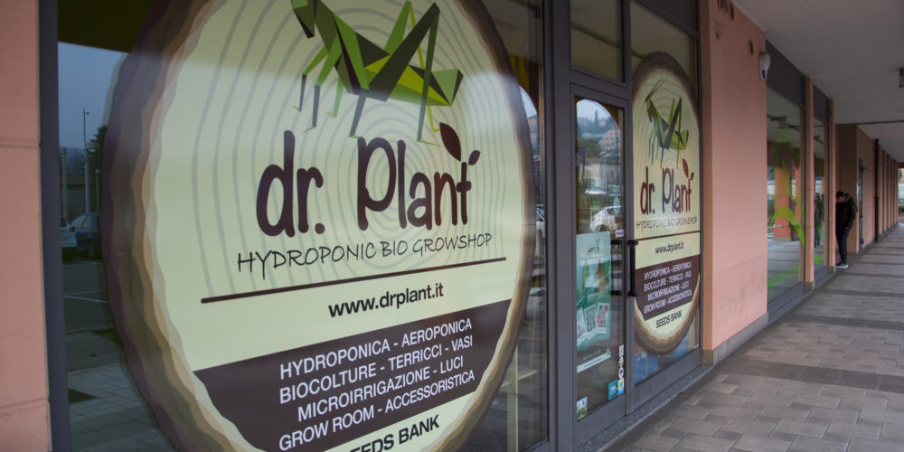 Dr Plant Bergamo