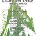 La pianta della vita: la cannabis