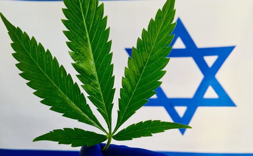 Cannabis, Israele verso le legalizzazione