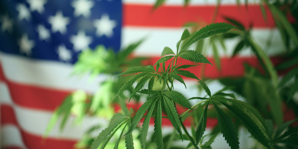 Gli Usa stanno per votare la legalizzazione della cannabis a livello federale