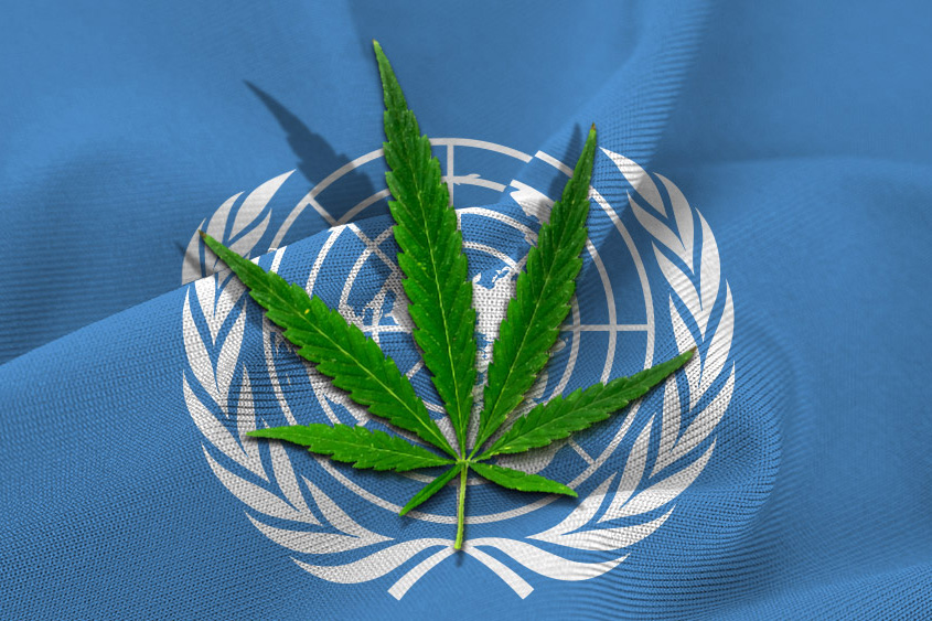 Voto Onu sulla riclassificazione cannabis
