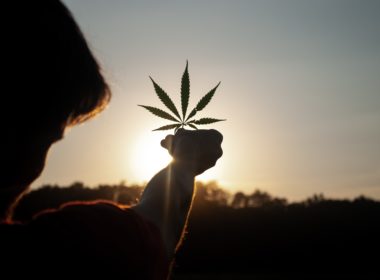 Cannabis al quinto posto tra le coltivazioni in America