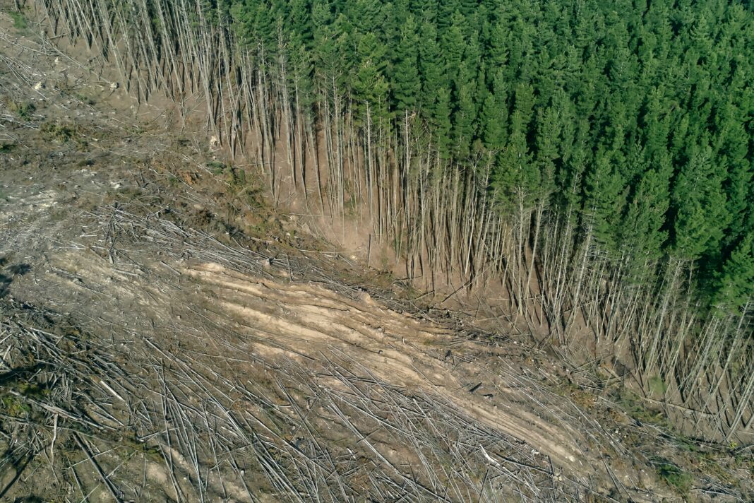 Guerra alla droga e crisi climatica